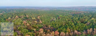 0 Dennis Creek Rd Unit 158522, Talbotton, GA 31827