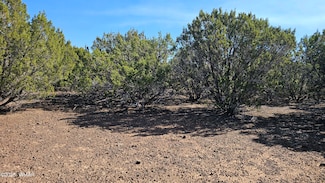 41 Acr 3119 Unit CO, Vernon, AZ 85940