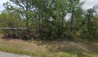6182 N Buckland Dr, Pine Ridge, FL 34434