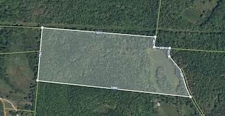 0 Flag Springs Rd, Lynnville, TN 38472