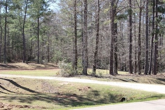 3900 Oak Bowery Rd, Opelika, AL 36801