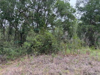 6717 E Gentry St, Inverness Highlands South, FL 34452