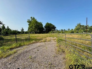 TBD State Highway 64, Ben Wheeler, TX 75754