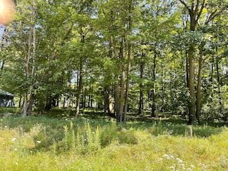 0 Questview Dr Unit 201828003, Houghton Lake, MI 48629