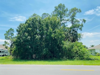 1438 SW Del Rio Blvd, Port St. Lucie, FL 34953