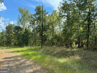 0 Day Lilly Ln, Sparta, GA 31087