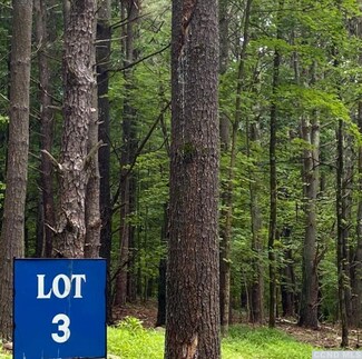0 Forest View Dr Unit Lot 3 147333, Catskill, NY 12414