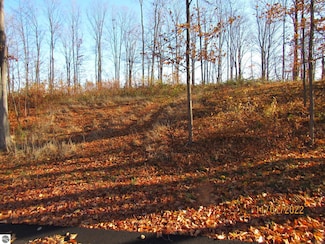 4169 Maple Hill Rd Unit E, Blair Township, MI 49637