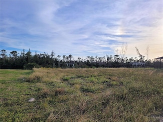 16652 Liggett Cir, South Gulf Cove, FL 33981