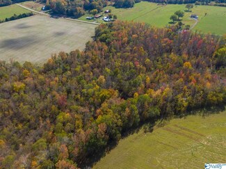 0 E Upper River Rd Unit 1156982, Somerville, AL 35670