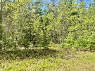 04 Sturgis Rd, Atlanta, MI 49709
