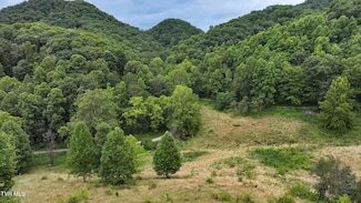 Tbd Large Hollow Rd, Abingdon, VA 24210