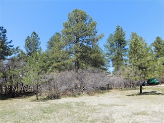 7347 Fremont Place, Larkspur, CO 80118