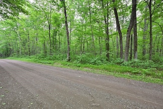 Lot 1 Chippewa Ave, Hayward, WI 54843