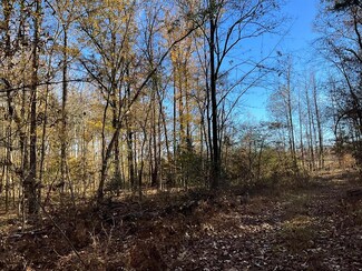 00 Cr 493, Oxford, MS 38655