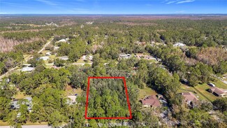 0 Ravens Brook Rd Unit MFRTB8325914, Wesley Chapel, FL 33544