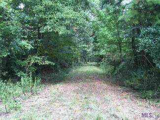 32187 & 32 Lower Rome Rd, Springfield, LA 70462