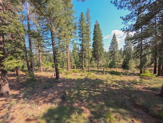 11349 China Camp Rd, Truckee, CA 96161