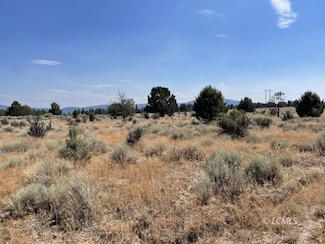 0 Rim Dr Unit 3007397, Chiloquin, OR 97639