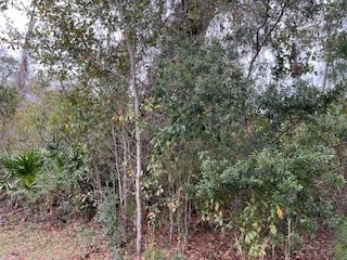 66 Timucuan Ct, St. Marys, GA 31558