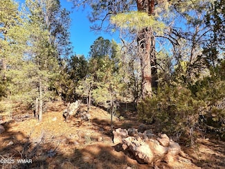 3377 Mogollon Dr, Overgaard, AZ 85928