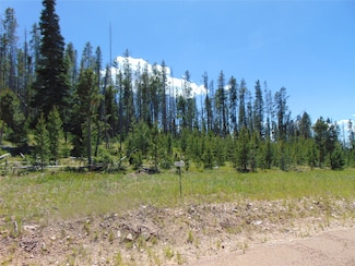Nhn Ln Unit Lot 3, Anaconda, MT 59711