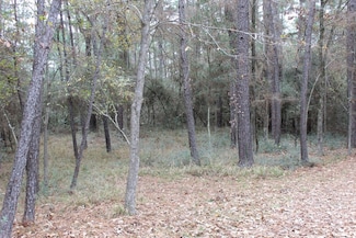 12 Weeping Willow, Westwood Shores, TX 75862