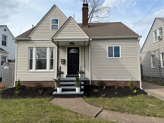 14022 Terminal Ave, Cleveland, OH 44135
