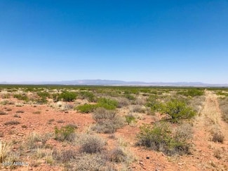 X X -- Unit 25, McNeal, AZ 85617