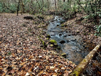 22/AC Tbd Sciota Rd, Elizabethton, TN 37643