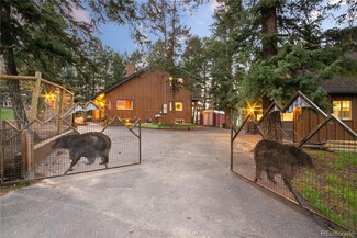 26491 Vosler St, Conifer, CO 80433