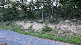 Lot 152 Fire Tower Trail, Shawneeland, VA 22602