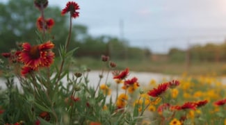 1722 Farm To Market 574 W, Mullin, TX 76864