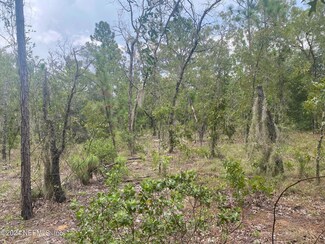 414 Rose Trail, Interlachen, FL 32148