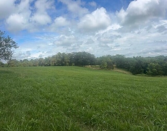 429 Chapel Rd, Mount Olivet, KY 41064