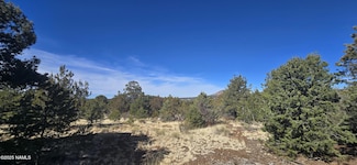7084 N Sycamore Dr, Red Lake, AZ 86046