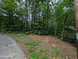 438 Kurts Corner Rd, Townsend, TN 37882