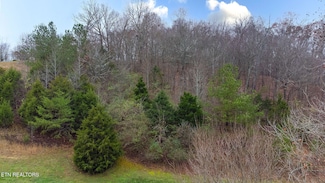 130 Vineyard Cove Dr, Loudon, TN 37774