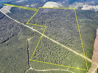 1 U S 59, Livingston, TX 77351