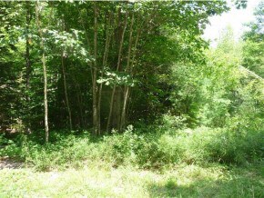 156 Chalk Pond Rd, Newbury, NH 03255