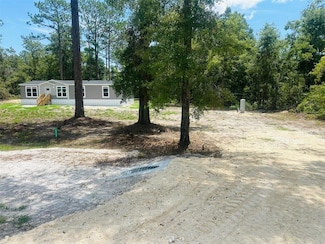 10030 Cr 136 W, Live Oak, FL 32060