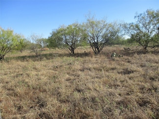 TBD County Road 328, Eastland, TX 76448