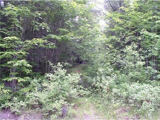 4647 Old B&a Railroad Bed Rd, Shirley, ME 04485