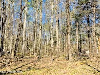 Lot 7 / 8 Sweet Briar Rd, Pocono Pines, PA 18350