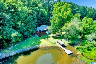 1766 Mountain Lake Rd, Warrior, AL 35180
