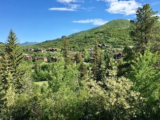 1100 Steamboat Blvd, Steamboat Springs, CO 80487