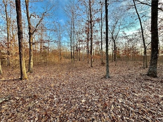0 Tbd Tract 1 Highway Cc, Salem, MO 65560