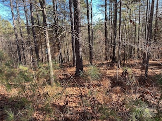 2052 Lighthouse Ln, Connelly Springs, NC 28612