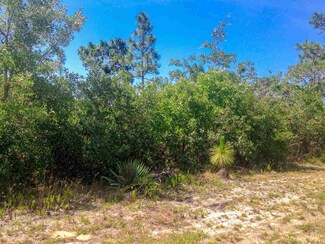 0 Anhinga Trail Unit 271382, Carrabelle, FL 32322