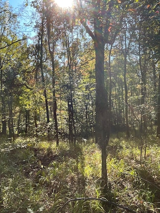 0 County Road 53, Carrollton, MS 38917